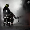 ДСНС України