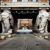 Як 175 років історії й традицій Carlsberg Group допомагають Carlsberg Ukraine&amp;nbsp;йти шляхом сталого розвитку під час війни&amp;nbsp;
