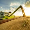 Урожайність зернових в Україні зросла на 13%: зібрано майже 32 млн тонн на 58% прогнозованих площ