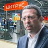Shutterstock/Анна Наконечная
