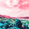 иллюстрация Getty Images / Анна Наконечная