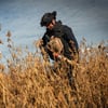 Разминирование сельхозземель. Пиротехники за прошлый год вернули в пользование 208 000 га угодий