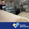коллаж Александра Карасева