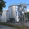 Ілюстрація Анна Наконечна