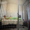 Прокуратура України