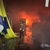 ДСНС України