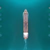 Shutterstock