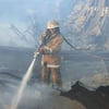 ДСНС України