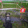 How to speed up demining. Case studies of FMC Ukraine and The HALO Trust, which help the state to solve this problem