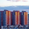 Иллюстрация Shutterstock