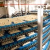 Анастасія Мантач