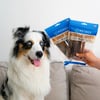 з офіційної Facebook сторінки Promenade Pet Care