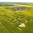 Упродовж 20 років Україна подвоїла виробництво зернових та олійних культур. Як технології допомагають точному землеробству
