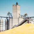 Spike Trade хотів стати рок-зіркою українського зернотрейдингу, але збанкрутував. Що пішло не так /Фото Getty Images