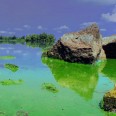 За десять років частка українців, які купують питну воду виросла в 3,5 рази. Як зростає цей бізнес /Фото Getty Images