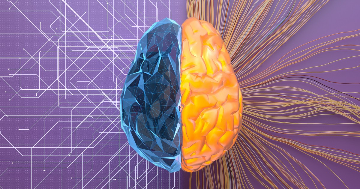 «Карманная» модель мозга