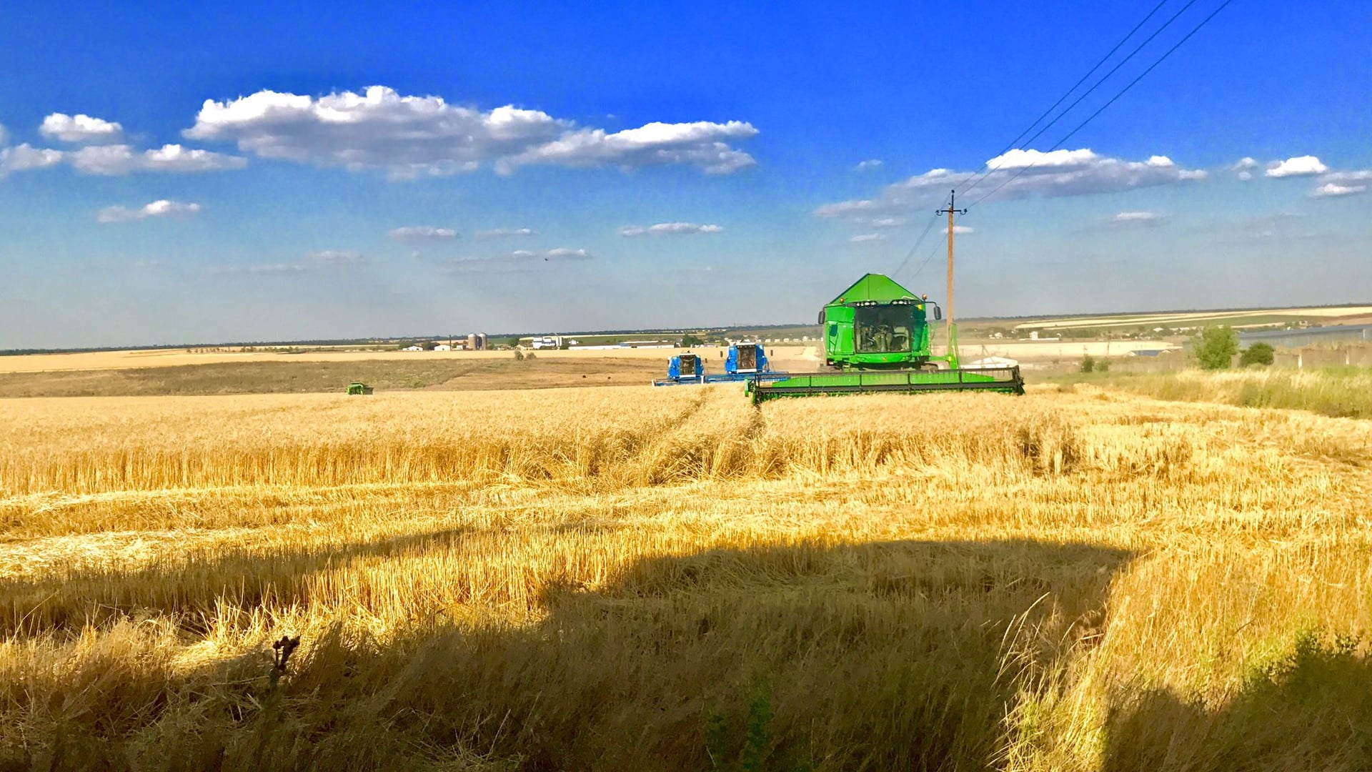 Continental Farmers Group став частиною сінгапурського агрогіганта Olam Agri