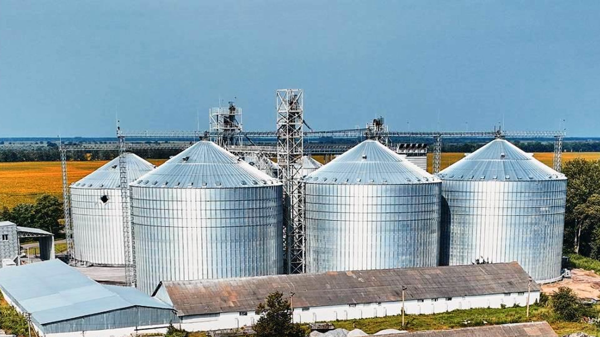 «Агропромислова компанія «Магнат»