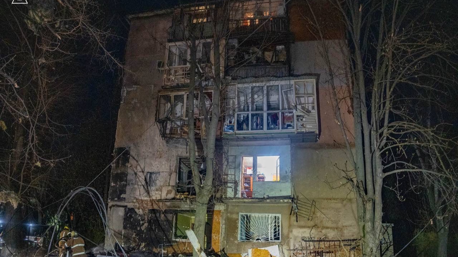 ДСНС України