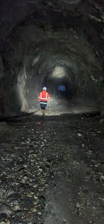 надано пресслужбою European Lithium