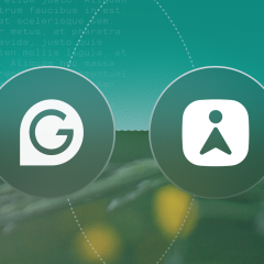 Нова назва Grammarly, чому Grammarly робить ребрендинг /надано пресслужбою