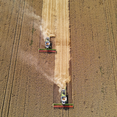 У списку 202 найбільших компаній країни 27 представляють агросектор /Getty Images