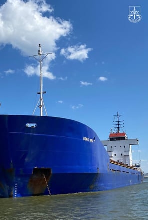 Украина арестовала иностранное судно, вывозившее агропродукцию из Крыма /Фото 2