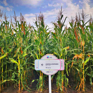 LNZ /з особистого архіву