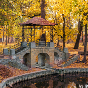 Біла Церква /Getty Images