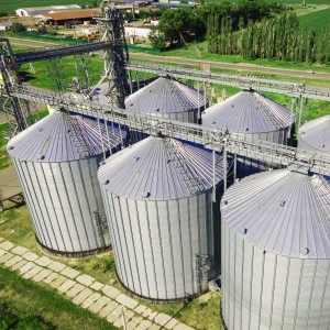 АДМ Украина /Shutterstock