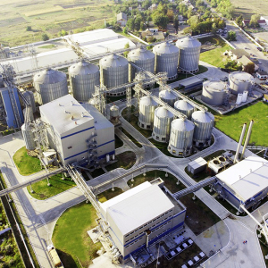 Астарта /з особистого архіву