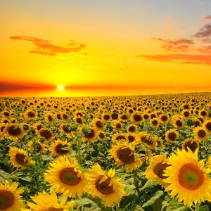 Прометей /Shutterstock