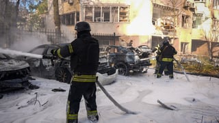 ДСНС України