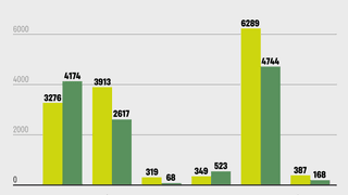 инфографика Алина Кохан