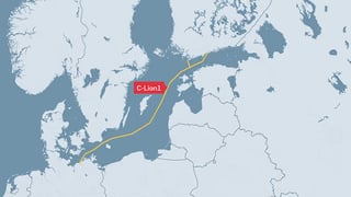 Фото: SVT Graphics