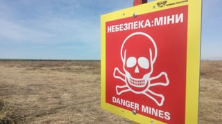 Агрохолдинг «Нибулон» планирует использовать ИИ для удешевления гуманитарного разминирования