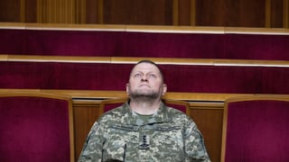 Андрей Нестеренко