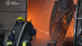 ДСНС Одещини