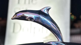 Серия рекламных роликов об Украине получила Серебряного Дельфина на Международном фестивале в Каннах