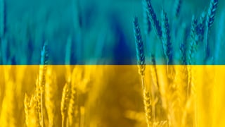 Getty Images