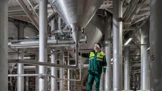 пресслужба Carlsberg Ukraine