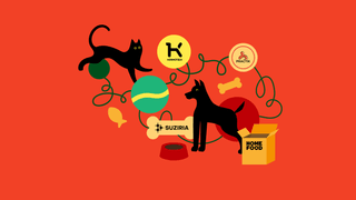 ілюстрація Ірина Костишина