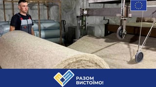колаж Олександра Карасьова