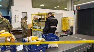 Поліція затримала чоловіка, який відправив «сувенірні» боєприпаси, що вибухнули на «Укрпошті»