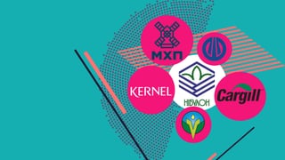 13 найбільших аграрних компаній України. Збитки холдингу Косюка та понад $200 млн прибутку Kernel Веревського