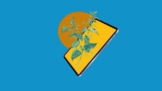 Ілюстрація Shutterstock / Анна Наконечна