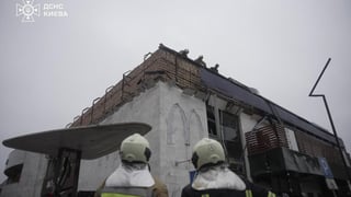 ДСНС України