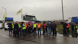 Украинские перевозчики проведут акцию протеста на ПП «Ягодин – Дорогуск» в ответ на действия польских фермеров