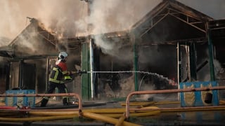 ДСНС України