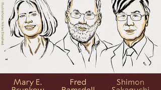 ілюстрація Ill. Niklas Elmehed / Nobel Media